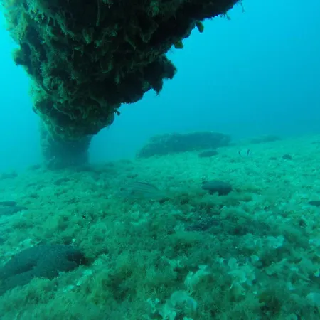 فندق مبيت وإفطار Miramare Di Antonella Ranieri 3*