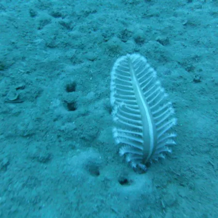 Miramare Di Antonella Ranieri Oda ve Kahvaltı 3*