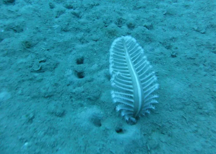 Miramare Di Antonella Ranieri לינה וארוחת בוקר 3*